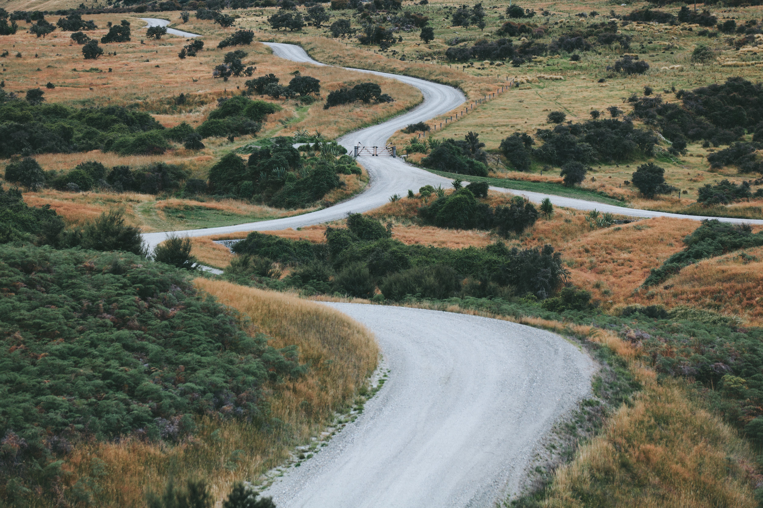 A road winding through open Pacific Northwest countryside