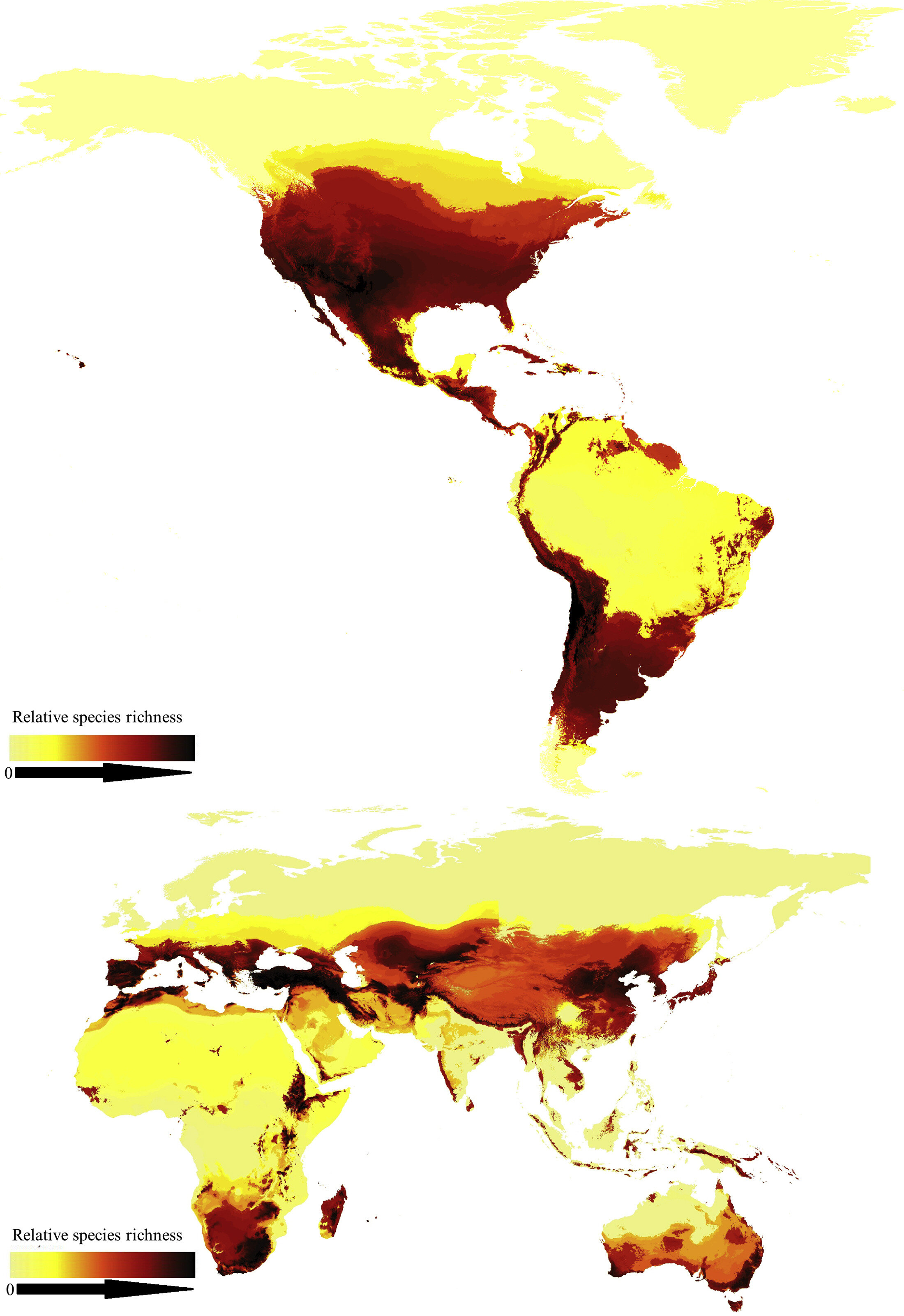 World map showing global honey bee and wild bee species richness, concentrated in temperate and arid zones