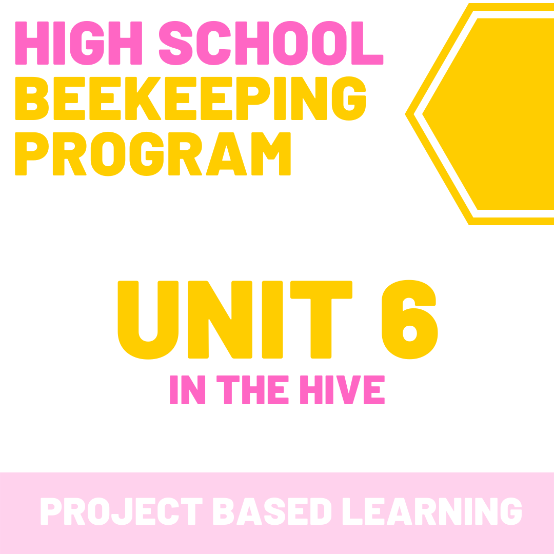 Unit 6 - In the Hive