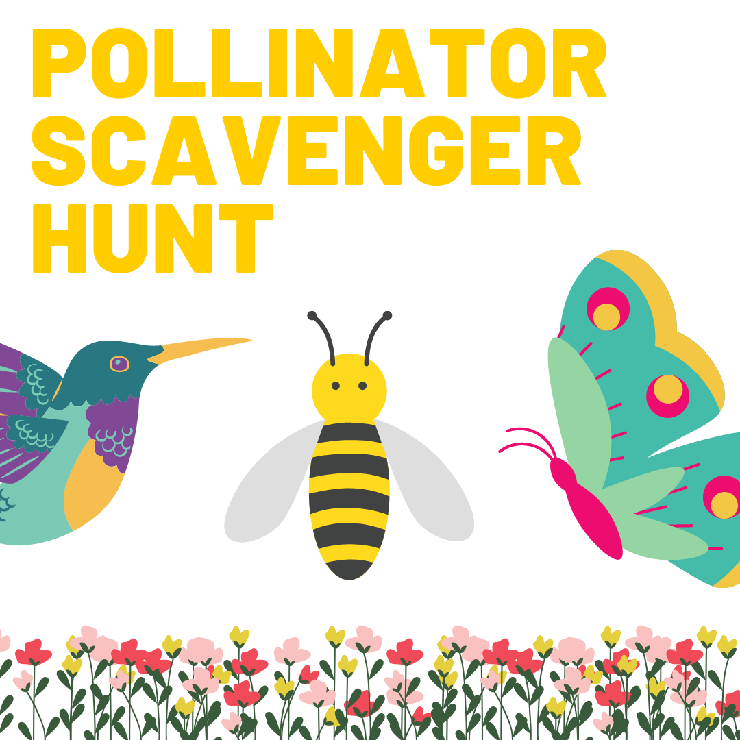 Pollinator Scavenger Hunt